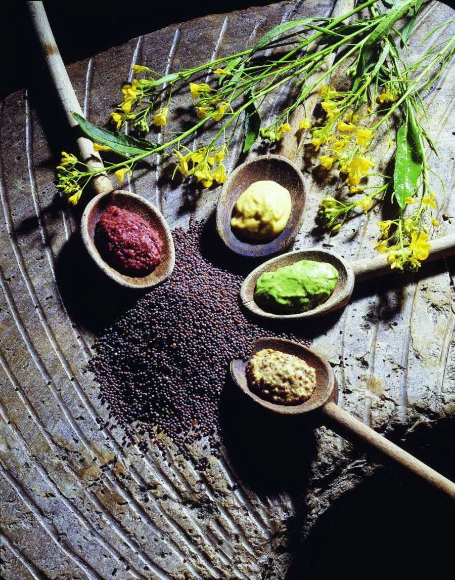 Four mustards on wooden spoons with rapeseed flower